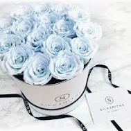 Thomas J. Henry Car Accident San Antonio TX, Death